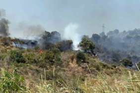 Şarköy’deki yangın kontrol altına alındı