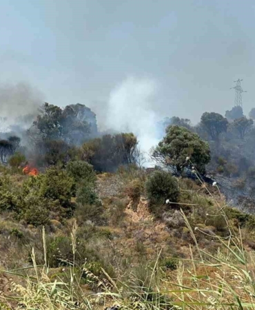 Şarköy’deki yangın kontrol altına alındı
