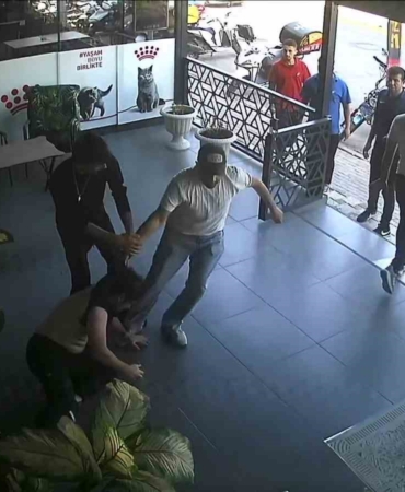 Şehir magandaları mama parası yüzünden veteriner hekime kabusu yaşattı