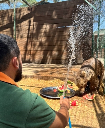 Sıcak hava İstanbul’u kavurdu; hayvanlar buzlu meyve ve fıskiyeyle serinletildi