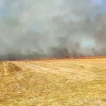 Silivri’de otluk alanda çıkan yangın büyük paniğe neden oldu