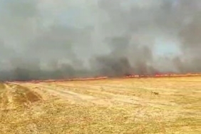 Silivri’de otluk alanda çıkan yangın büyük paniğe neden oldu