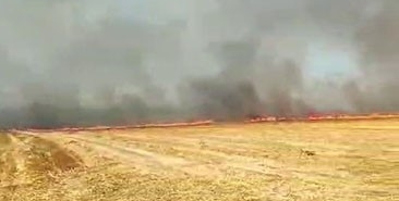 Silivri’de otluk alanda çıkan yangın büyük paniğe neden oldu