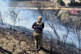 Silivri’de otluk alanda yangın çıktı, yangını söndürmeye çalışan itfaiyeciler arı kovanları için seferber oldu