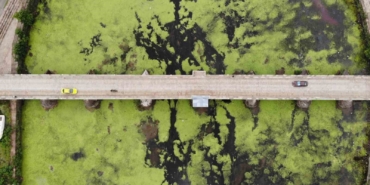 Su akışı durdu, Tunca Nehri yeşile döndü