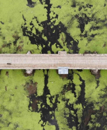 Su akışı durdu, Tunca Nehri yeşile döndü