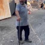 Sultangazi’de eve girmeye çalışan yılanı kedi engelledi