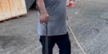 Sultangazi’de eve girmeye çalışan yılanı kedi engelledi