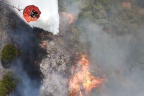 Susurluk’ta araç kazası orman yangınına dönüştü