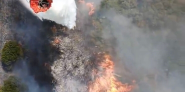 Susurluk’ta araç kazası orman yangınına dönüştü