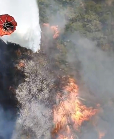 Susurluk’ta araç kazası orman yangınına dönüştü