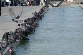 Taksim’de vatandaşların sıcak ile imtihanı