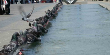 Taksim’de vatandaşların sıcak ile imtihanı