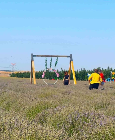 Tekirdağ 4’üncü Lavanta Günleri başlıyor