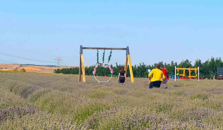 Tekirdağ 4’üncü Lavanta Günleri başlıyor