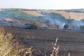 Tekirdağ’da 100 dönümlük alan yandı