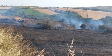Tekirdağ’da 100 dönümlük alan yandı