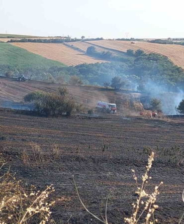 Tekirdağ’da 100 dönümlük alan yandı