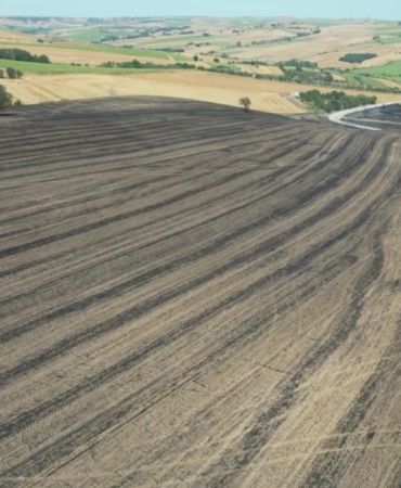 Tekirdağ’da 200 dönüm anız alan yandı