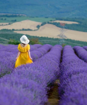 Tekirdağ’da 4. Lavanta Şenliği 8 Temmuz’da başlıyor