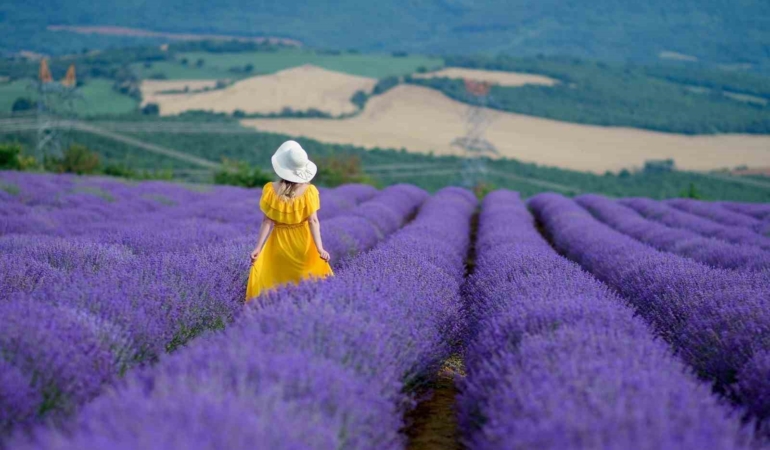 Tekirdağ’da 4. Lavanta Şenliği 8 Temmuz’da başlıyor