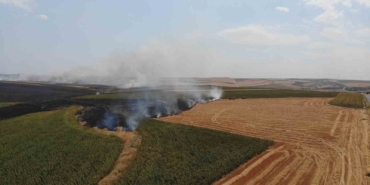 Tekirdağ’da anız yangını 500 dönüm yandı: Yangın sürüyor