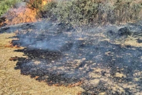 Tekirdağ’da anız yangını