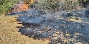Tekirdağ’da anız yangını