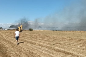 Tekirdağ’da anız yangını