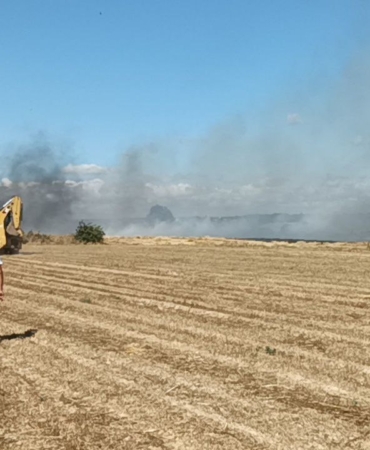 Tekirdağ’da anız yangını
