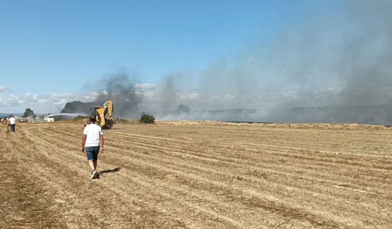Tekirdağ’da anız yangını