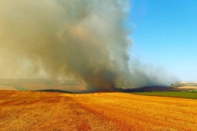 Tekirdağ’da bin 500 dönümlük alan yandı: 1 yaralı