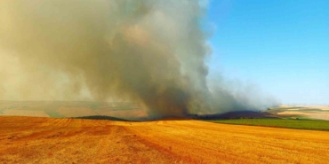 Tekirdağ’da bin 500 dönümlük alan yandı: 1 yaralı