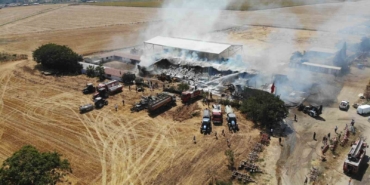 Tekirdağ’da çiftlik yangını: 15 bin balya saman yandı