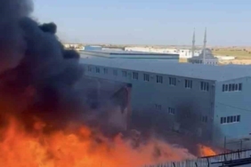 Tekirdağ’da kimya fabrikasında yangın