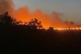 Tekirdağ’da tır ve anız yangını: 300 dönüm alan yandı