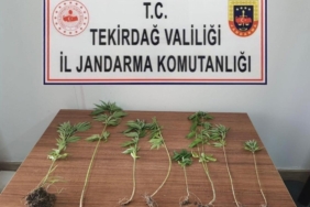 Tekirdağ’da uyuşturucu operasyonları: 8 kişi yakalandı