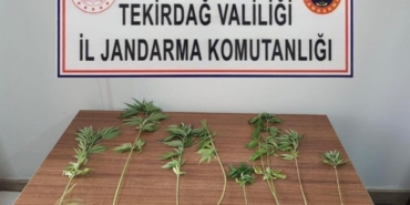 Tekirdağ’da uyuşturucu operasyonları: 8 kişi yakalandı