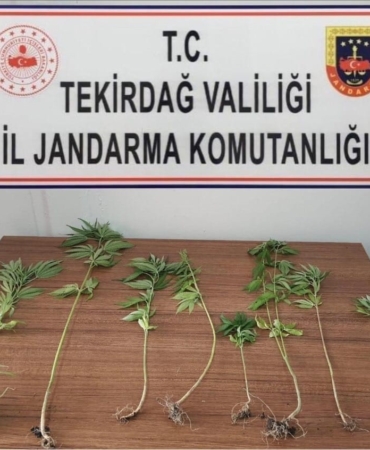 Tekirdağ’da uyuşturucu operasyonları: 8 kişi yakalandı