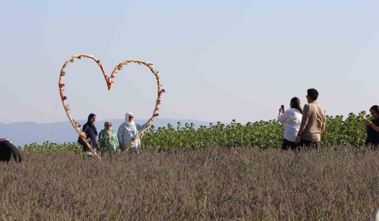 Tekirdağ’daki 4. Lavanta Şenliği’nde renkli görüntüler yaşandı