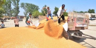 TMO, Yenişehir’den 3 bin 500 ton hububat aldı