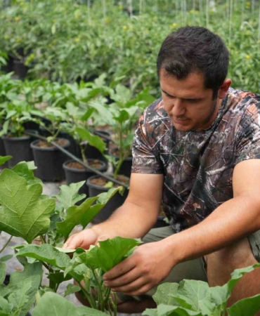 Topraksız sera yüzde 50 daha karlı