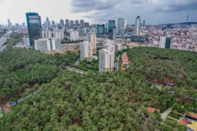 Ümraniye’de iklim krizine karşı 40 bin ağaç toprakla buluştu