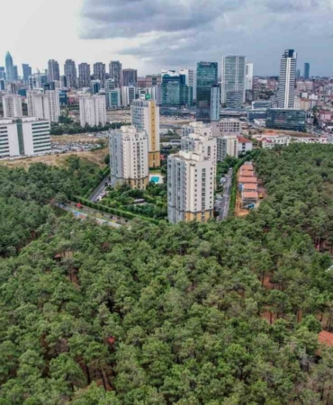 Ümraniye’de iklim krizine karşı 40 bin ağaç toprakla buluştu