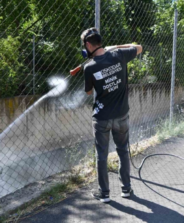 Üsküdar Belediyesi tarafından vektörlerle mücadele devam ediyor