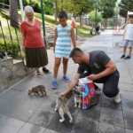 Üsküdar Belediyesinden sokak hayvanlarına her ay 2 ton mama yardımı