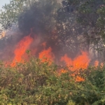 Uzunköprü’de  katı atık depolama tesisinde başlayan yangın ormanlık alana sıçradı