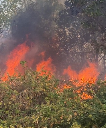 Uzunköprü’de  katı atık depolama tesisinde başlayan yangın ormanlık alana sıçradı
