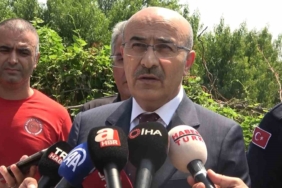 Vali Demirtaş yangın bölgesinde açıklamalarda bulundu