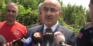 Vali Demirtaş yangın bölgesinde açıklamalarda bulundu